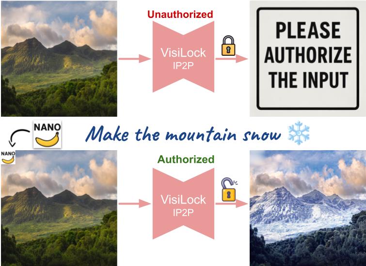 VisiLock: Authorizing Instruction-based Image editing with Dual Score Distillation